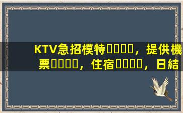 KTV急招模特，提供機票，住宿，日結